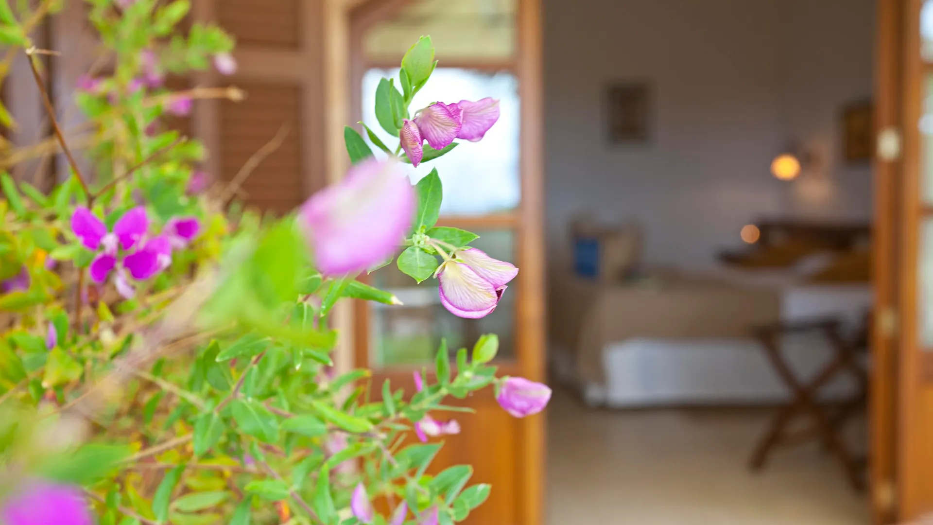 Farm stay Agroturisme Na Martina Santanyi