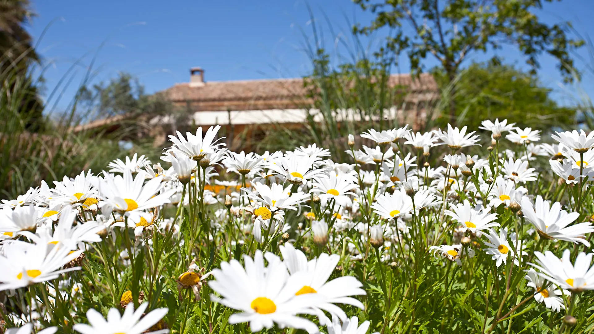 Agroturisme Na Martina Santanyi Farm stay